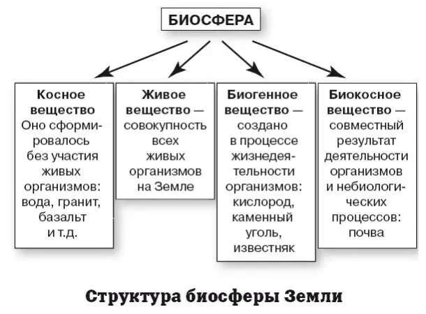 Почва как особое природное образование Почвой называется обладающий - фото 107