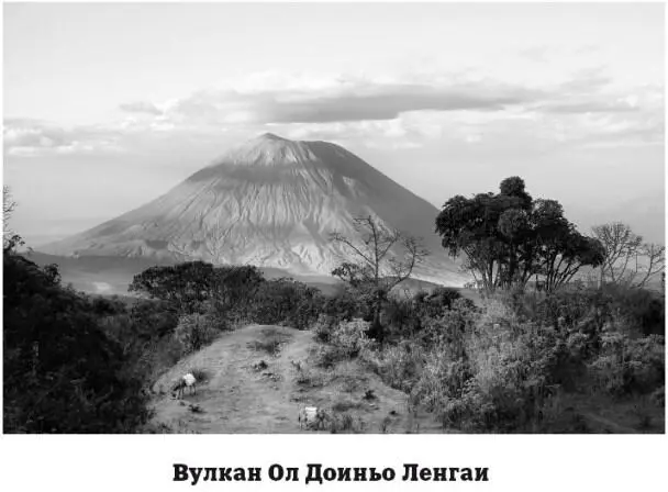 Ол Доиньо Ленгаи считается молодым вулканом Первое зафиксированное его - фото 114