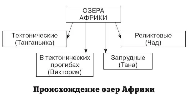 Большинство озер Африки находится в восточной части материка Их происхождение - фото 118
