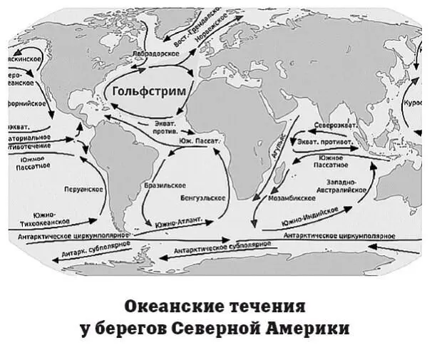 Вдоль восточных берегов материка проходят теплое океанское течение Гольфстрим и - фото 137