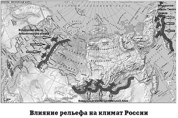В горных районах выражена высотная поясность Зона арктической пустыни - фото 158