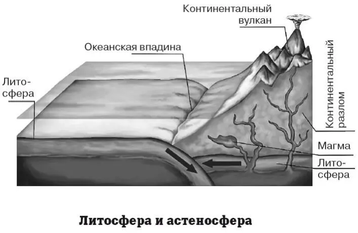 Сверху литосфера ограничена атмосферой а снизу астеносферой Различают два - фото 41