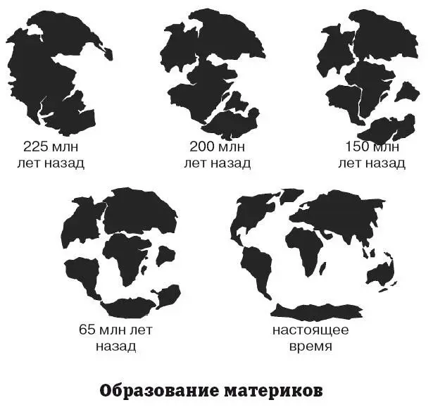 Тектоническая активность привела к образованию гор и океанических впадин на - фото 44