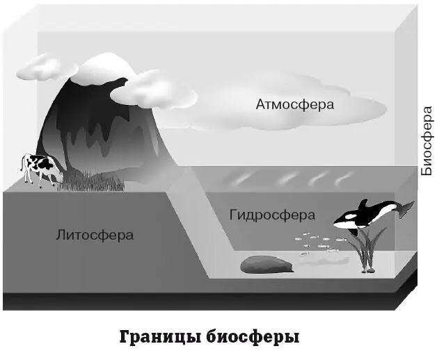 Между частями географической оболочки осуществляется активный и непрерывный - фото 5