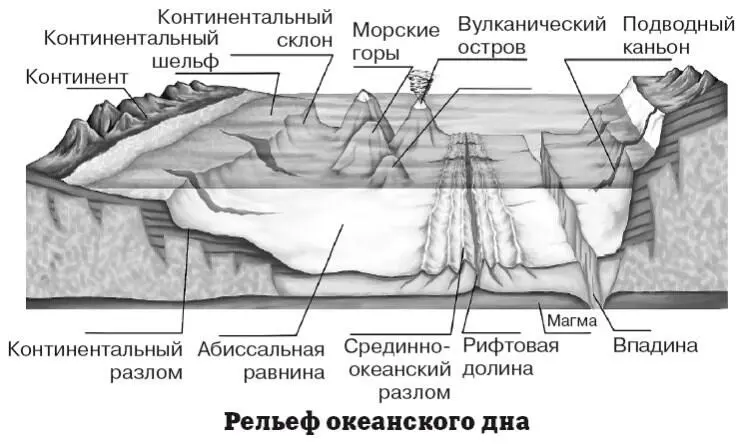 Острова являются подводными горами вершины которых поднимаются над водой - фото 59