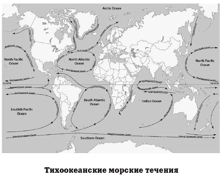 По местоположению океанические течения подразделяются на поверхностные и - фото 66