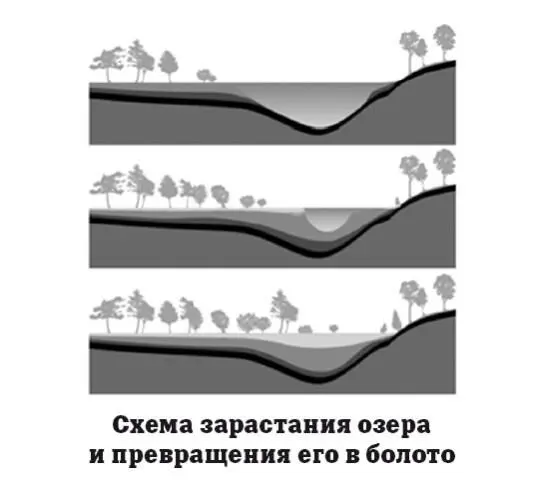 Для того чтобы участок суши назывался болотом на нем должен иметься слой - фото 77