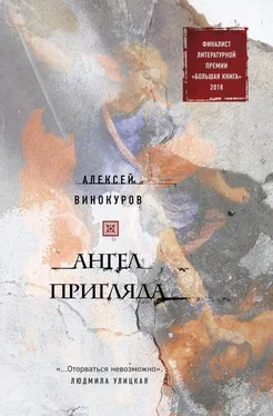 Алексей Винокуров Ангел пригляда обложка книги