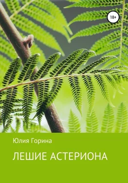 Юлия Горина Лешие Астериона обложка книги