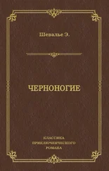 Анри-Эмиль Шевалье - Черноногие