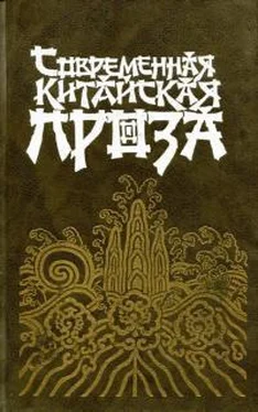 Ван Мэн Современная китайская проза обложка книги