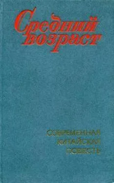 Ван Мэн Средний возраст обложка книги