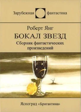 Роберт Янг Бокал звезд обложка книги