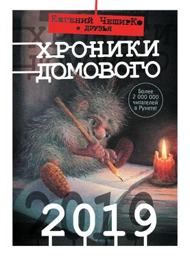 Коллектив авторов Хроники Домового. 2019 [сборник, litres] обложка книги