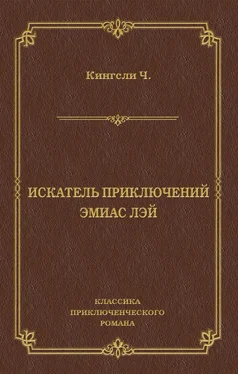 Чарльз Кингсли Искатель приключений Эмиас Лэй обложка книги