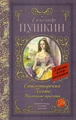 Александр Пушкин - Стихотворения. Поэмы. Маленькие трагедии (сборник)