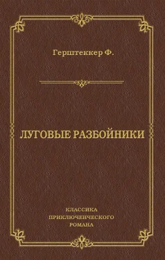 Фридрих Герштеккер Луговые разбойники обложка книги