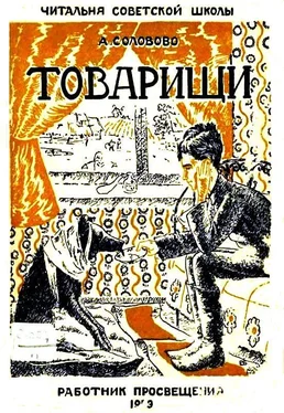 Анастасия Соловово Товарищи обложка книги