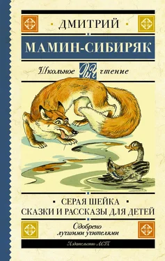 Дмитрий Мамин-Сибиряк Серая Шейка. Сказки и рассказы для детей обложка книги