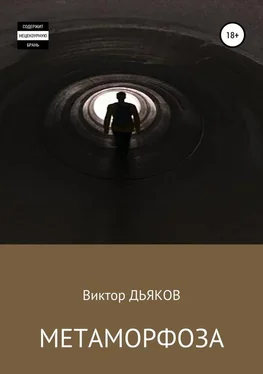 Виктор Дьяков Метаморфоза обложка книги