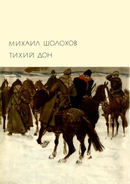 Михаил Шолохов Тихий Дон. Книги 3-4 обложка книги