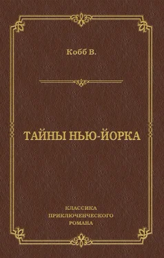 Жюль Лермина Тайны Нью-Йорка обложка книги