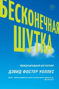 Дэвид Уоллес Бесконечная шутка обложка книги