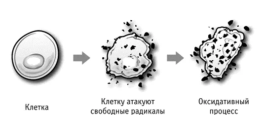 Давно отмечено что наличие воспалительных процессов в организме в случаях - фото 13