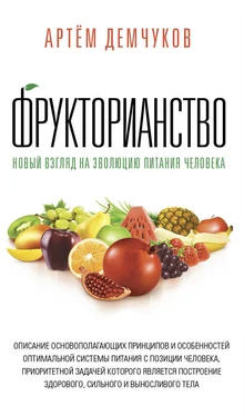 Артём Демчуков Фрукторианство. Новый взгляд на эволюцию питания человека обложка книги