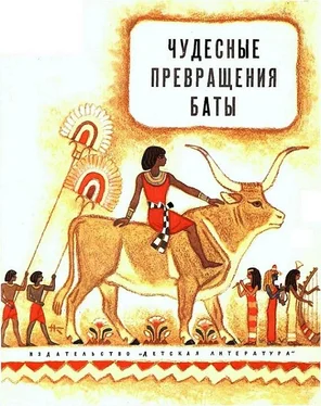 Ревекка Рубинштейн Чудесные превращения Баты обложка книги