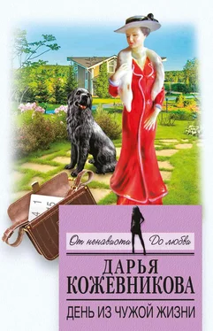Дарья Кожевникова День из чужой жизни обложка книги