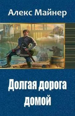 Александр Сафонов Долгая дорога домой обложка книги