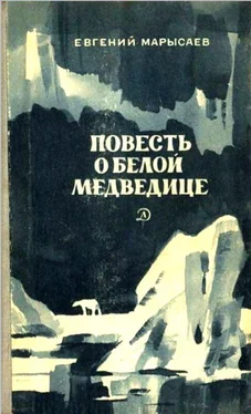 Евгений Марысаев Повесть о белой медведице. Пират обложка книги