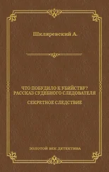 Александр Шкляревский - Что побудило к убийству? Рассказ судебного следователя. Секретное следствие (сборник)