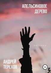 Андрей Терехов - Апельсиновое дерево