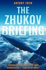 Энтони Трю - The Zhukov Briefing