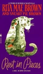 Рита Браун - Rest In Pieces