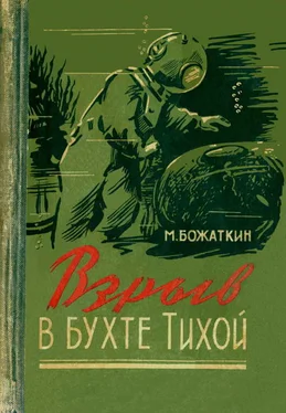 Михаил Божаткин Взрыв в бухте Тихой обложка книги