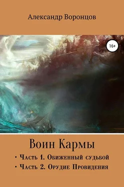 Александр Воронцов Воин Кармы. Часть I и II обложка книги