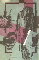 Леонид Панасенко - Не камiнь