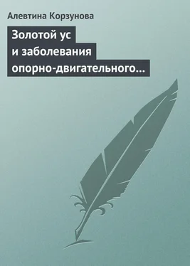 Алевтина Корзунова Золотой ус и заболевания опорно-двигательного аппарата обложка книги