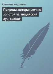 Алевтина Корзунова - Природа, которая лечит - золотой ус, индийский лук, аконит