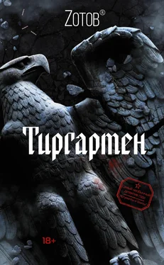 Георгий Зотов Тиргартен обложка книги