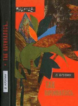 Владимир Крупин Так начиналось… обложка книги