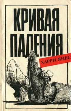 Харри Янес Кривая падения обложка книги