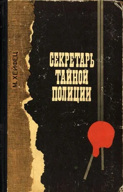 Михаил Хейфец Секретарь тайной полиции обложка книги