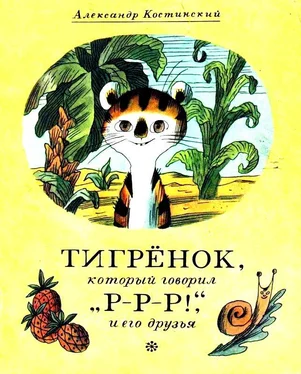 Александр Костинский Тигрёнок, который говорил «Р-Р-Р!», и его друзья обложка книги