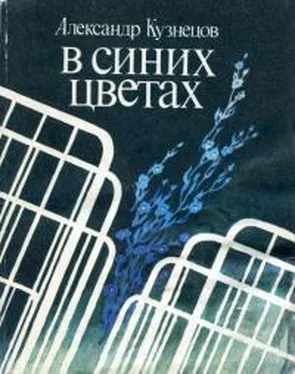 Александр Кузнецов В синих цветах обложка книги