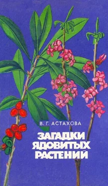 Валентина Астахова Загадки ядовитых растений обложка книги