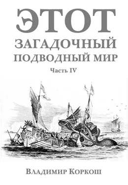 Владимир Коркош Этот загадочный подводный мир часть 4 обложка книги